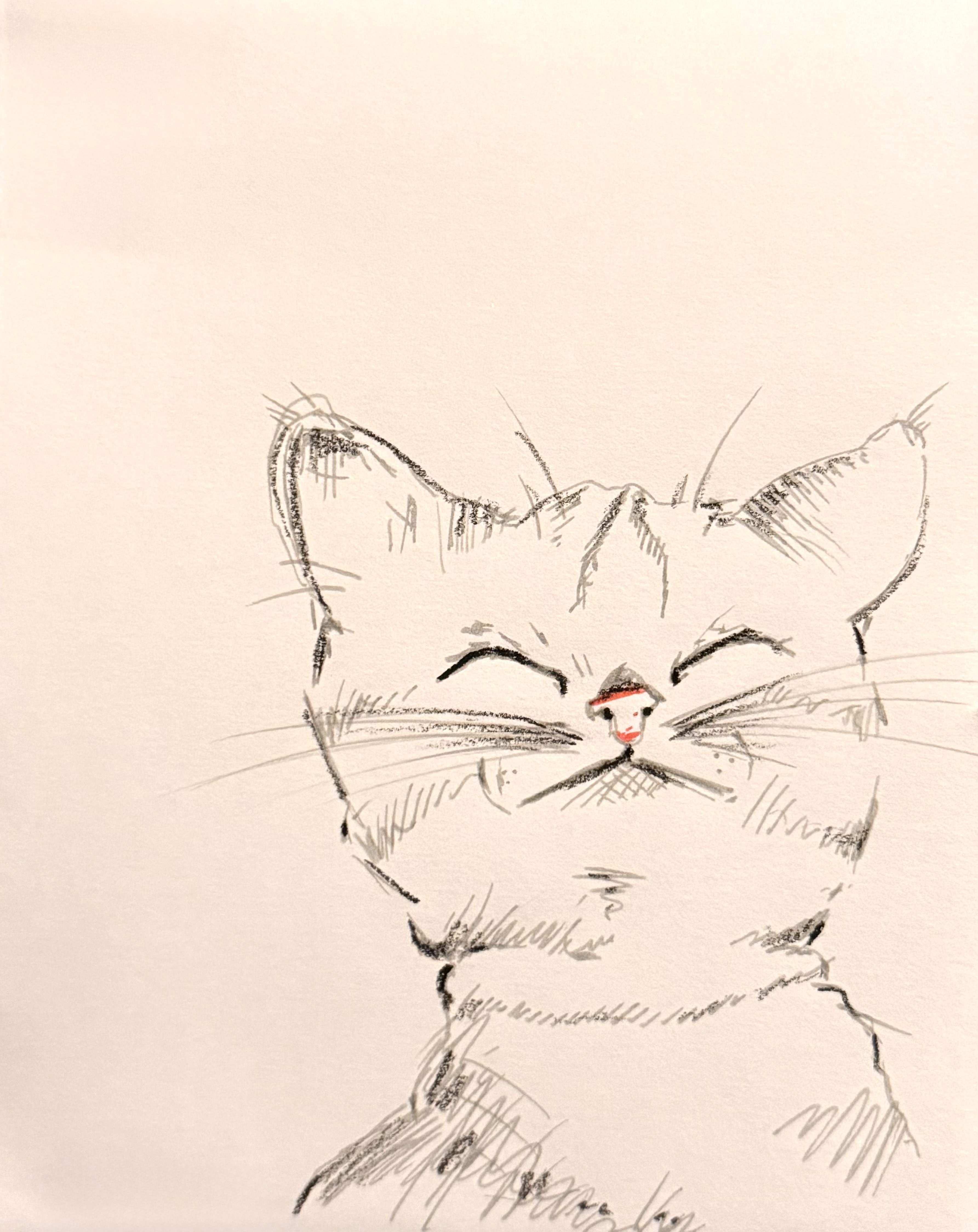 Cat Sketch