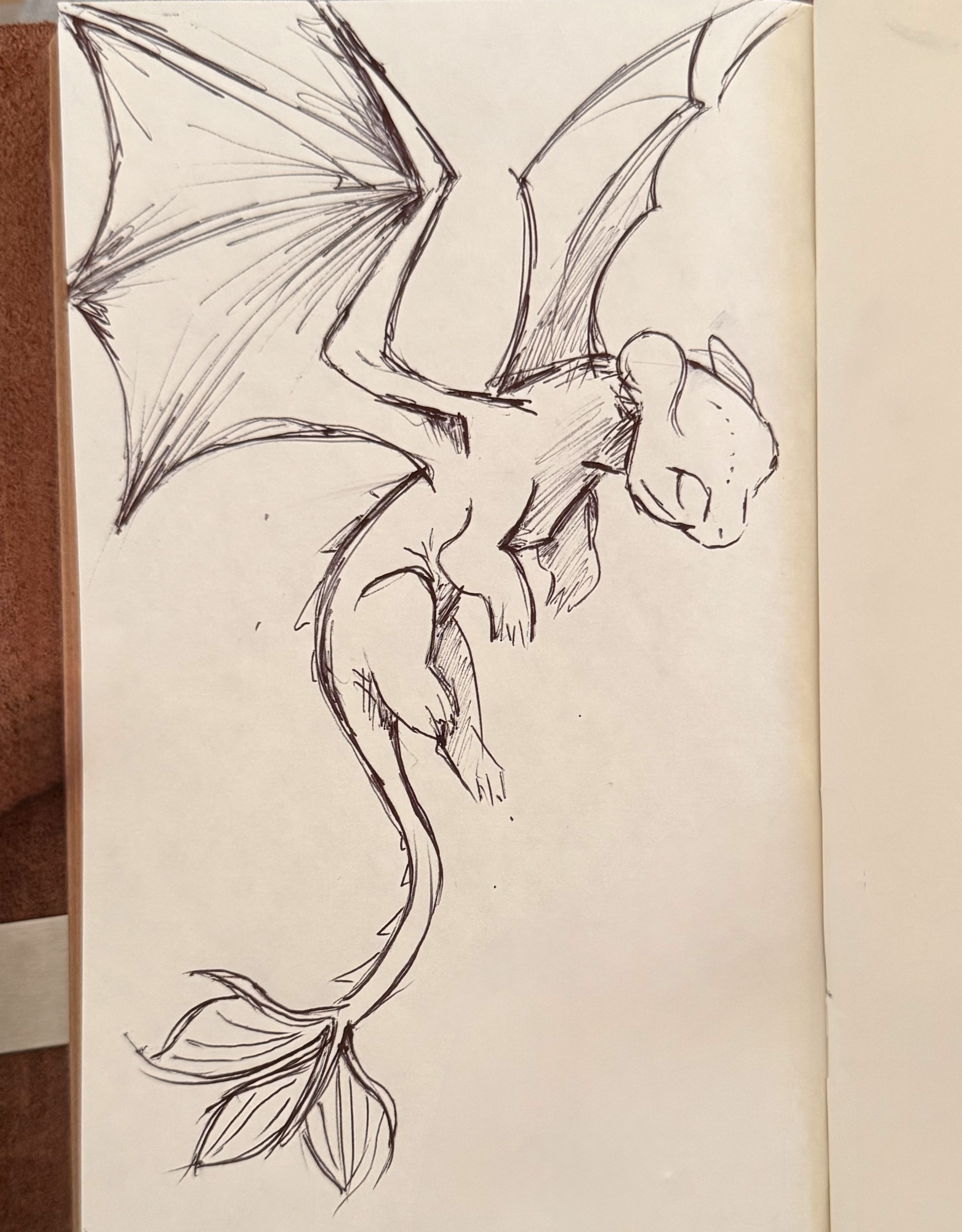 Dragon Drawing