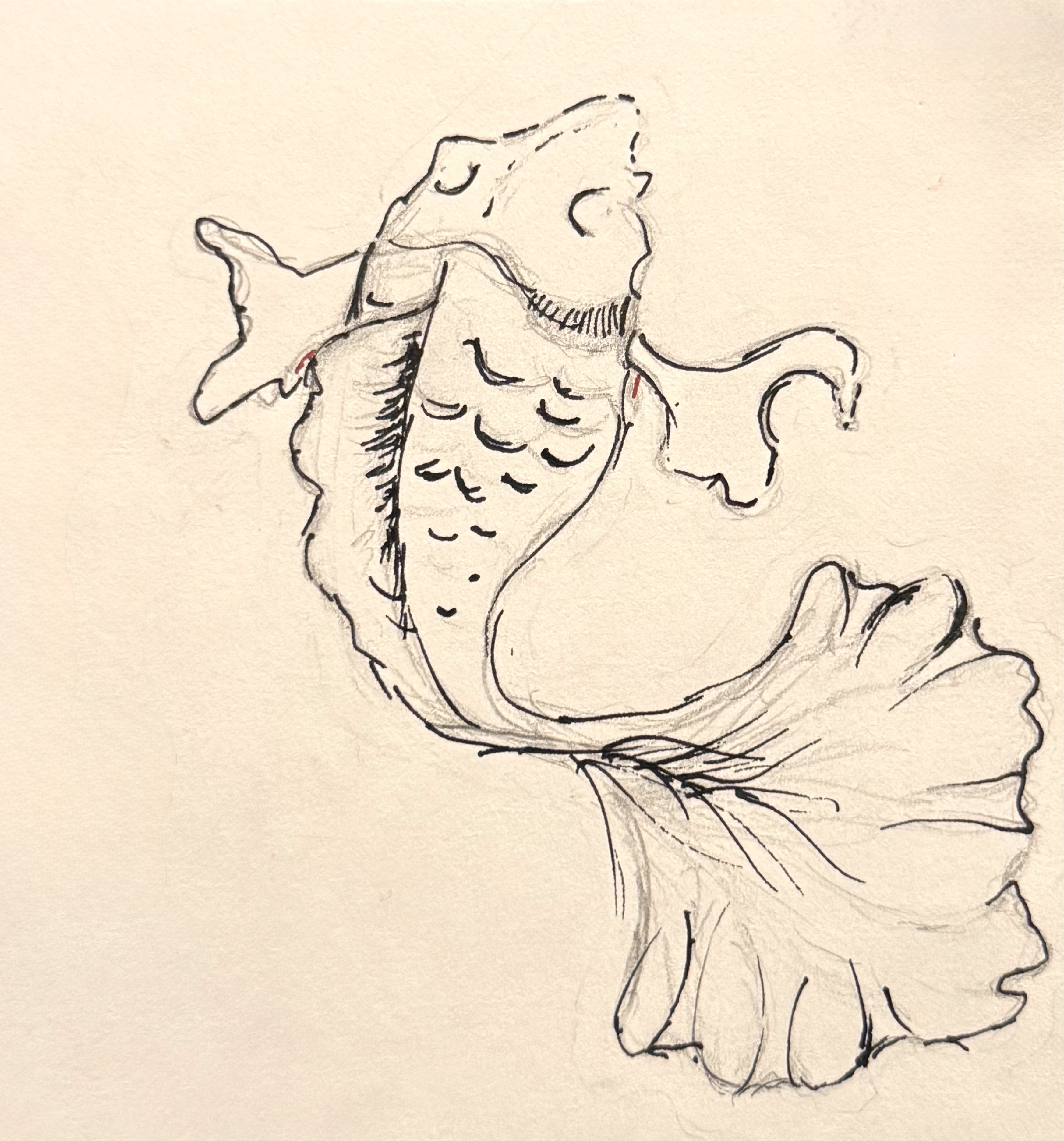 Fish Sketch